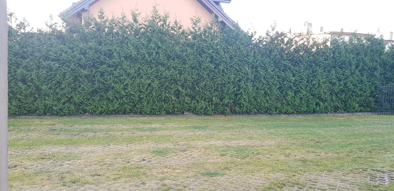Pokoje Goscinne Pryzmat Władysławowo Extérieur photo
